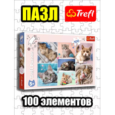 Пазлы для детей 4 5 6 лет 100 элементов Кошачий мир