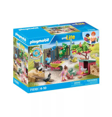 Набор Куриная ферма Playmobil 71510