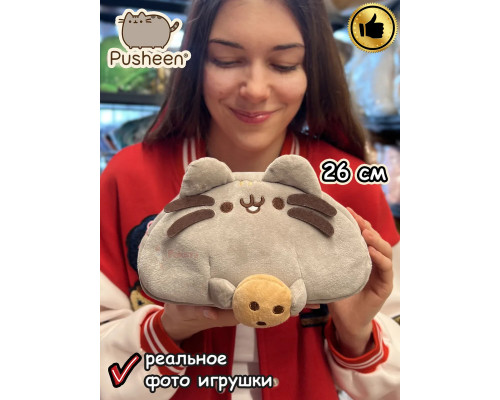 Мягкая игрушка Пушин Кот Кэт плюшевый котик косметичка пенал