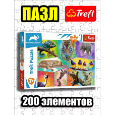 Пазлы для детей 5 6 7 лет 200 элементов В экзотическом мире