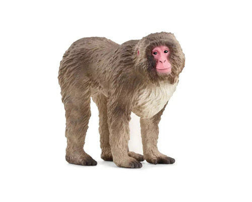 Фигурка Японская макака Schleich 14871