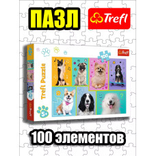 Пазлы для детей 4 5 6 лет 100 элементов В мире собак