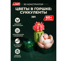 3Д конструктор Цветы в горшке: суккуленты