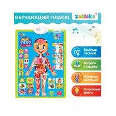 Обучающий плакат Изучаем анатомию: Моё тело