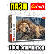 Пазлы для детей и взрослого 1000 элементов Спящий лев