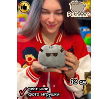 Мягкая игрушка Пушин Кот Кэт плюшевый котик брелок