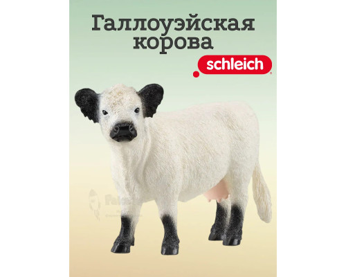 Фигурка Галлоуэйская корова Шляйх 13960