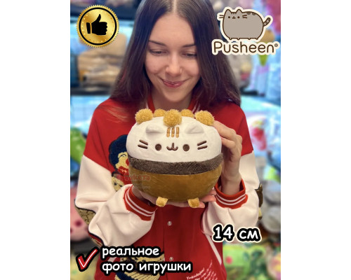 Мягкая игрушка Пушин Кот Кэт плюшевый котик тирамису