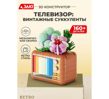 3Д конструктор Телевизор: винтажные суккуленты