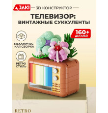 3Д конструктор Телевизор: винтажные суккуленты