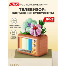3Д конструктор Телевизор: винтажные суккуленты
