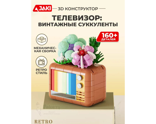 3Д конструктор Телевизор: винтажные суккуленты