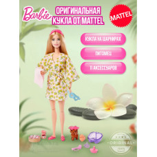Набор Кукла Барби с питомцем День Spa HKT90