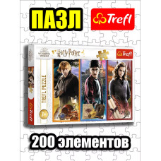 Пазлы для детей 5 6 7 лет 200 элементов Гарри Поттер
